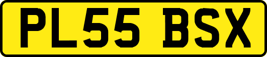 PL55BSX