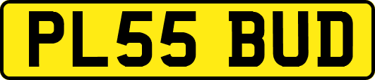PL55BUD