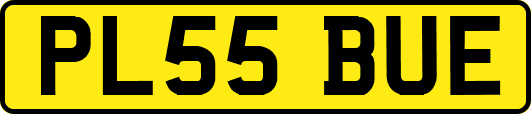 PL55BUE