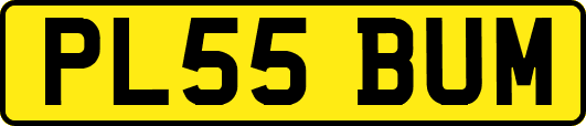 PL55BUM