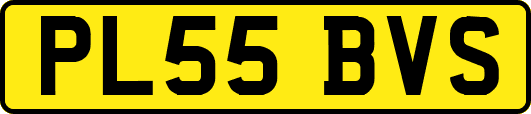 PL55BVS