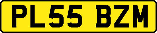 PL55BZM