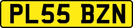 PL55BZN