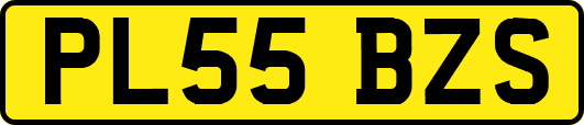 PL55BZS