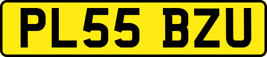 PL55BZU