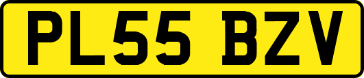 PL55BZV