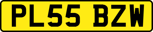 PL55BZW