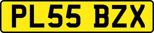 PL55BZX