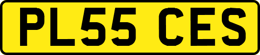 PL55CES