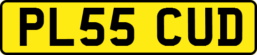 PL55CUD