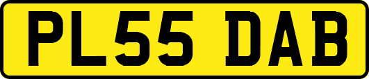 PL55DAB
