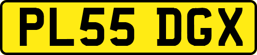 PL55DGX