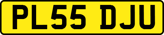 PL55DJU