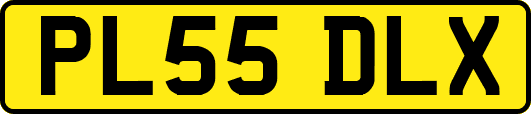 PL55DLX