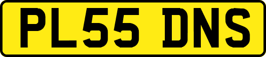 PL55DNS