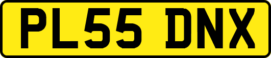 PL55DNX