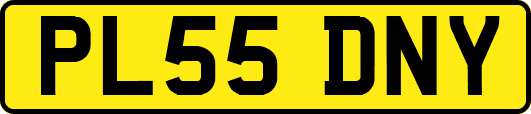 PL55DNY