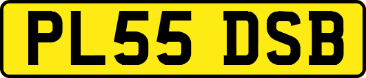 PL55DSB