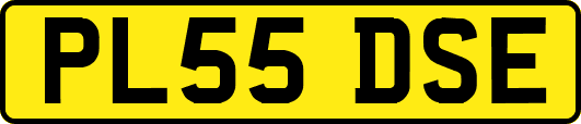 PL55DSE