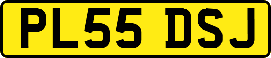 PL55DSJ