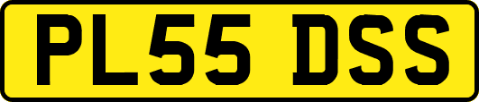 PL55DSS