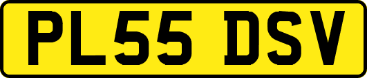 PL55DSV