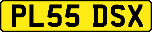 PL55DSX