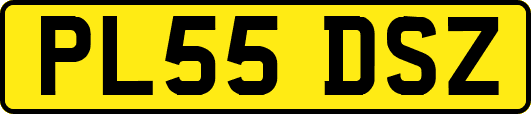 PL55DSZ