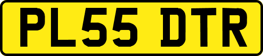 PL55DTR