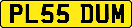 PL55DUM