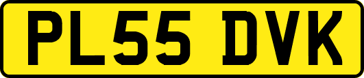 PL55DVK