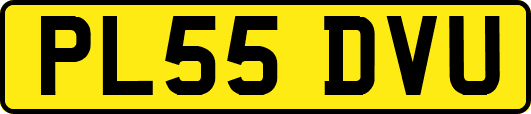 PL55DVU