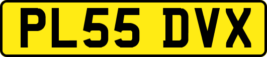 PL55DVX