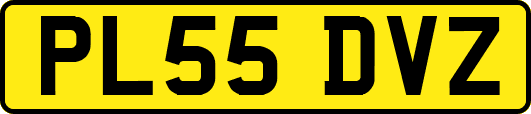 PL55DVZ