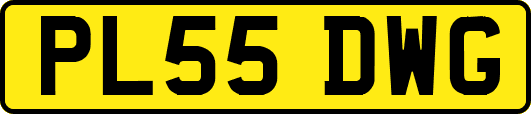 PL55DWG