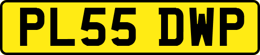PL55DWP