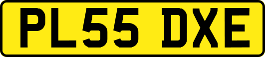 PL55DXE