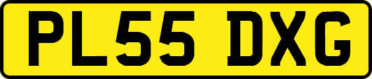 PL55DXG