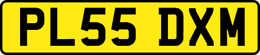 PL55DXM