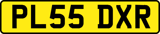 PL55DXR