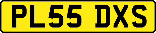 PL55DXS