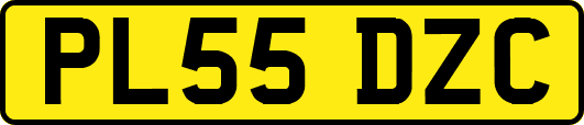 PL55DZC
