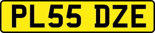 PL55DZE