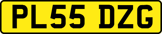 PL55DZG