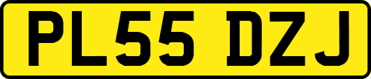 PL55DZJ