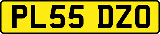 PL55DZO