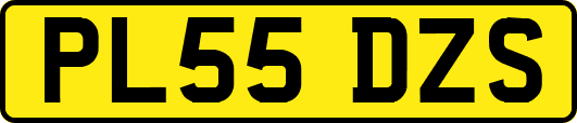 PL55DZS