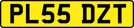 PL55DZT