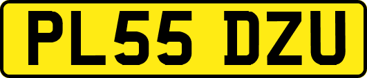 PL55DZU