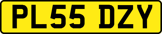 PL55DZY